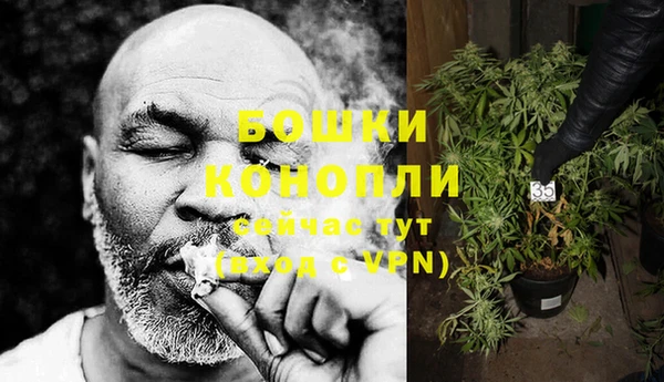 бошки Аркадак
