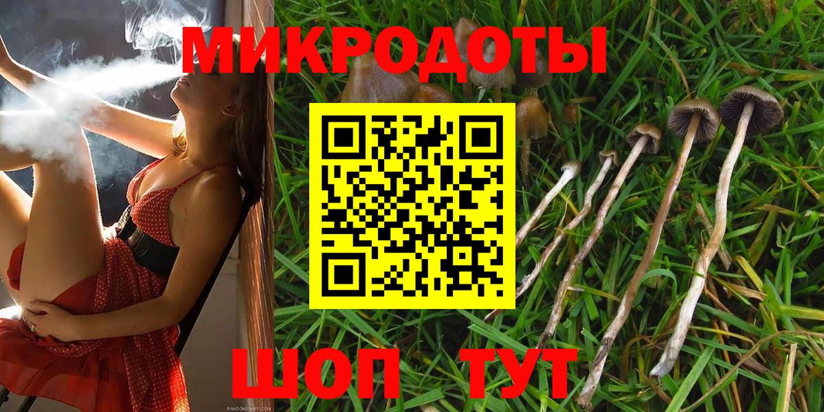 Долгопрудный  Галлюциногенные грибы Cubensis  как найти закладки  Вход с VPN 